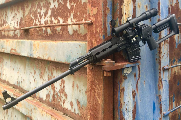 Gun