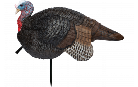 Primos 69074 Lil' Gobstopper Jake Turkey Species Multi Color