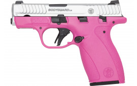 SW M&P BODYGUARD 380ACP 2.0 Micro Pistol