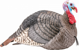 Hunters Specialties 100003 Strut-lite Jake Turkey Decoy