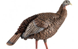 Avian X AVX-AVX8106 HDR Hen Turkey Species Multi Color