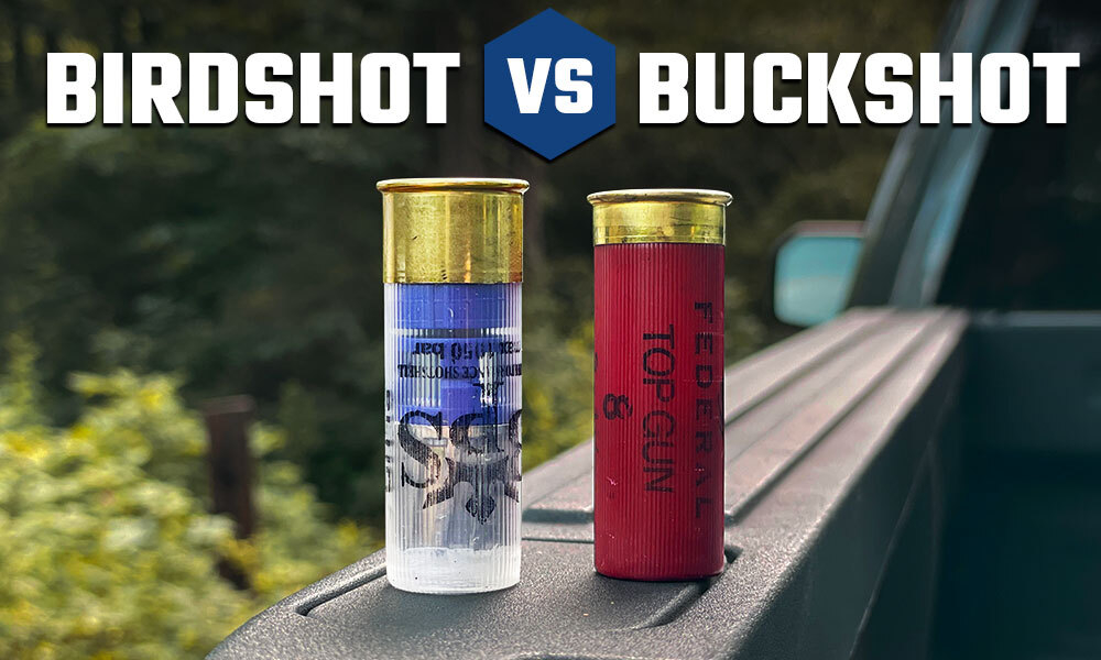 Birdshot Vs. Buckshot