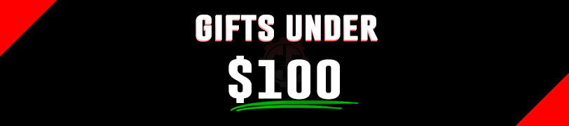 Holiday Gifts Under $100