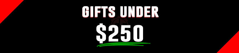 Holiday Gifts Under $250